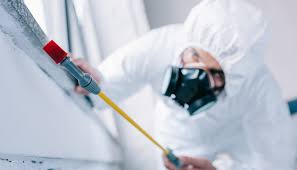 Best Fumigation Services  in Elmhurst, IL